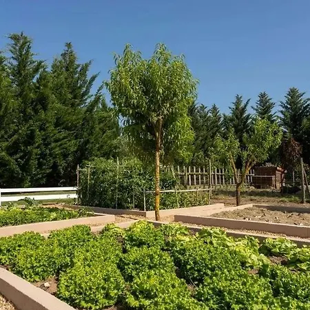 Vila Moradia T3 Localizada Num Lote De Terreno De 5.116m2 Com Piscina