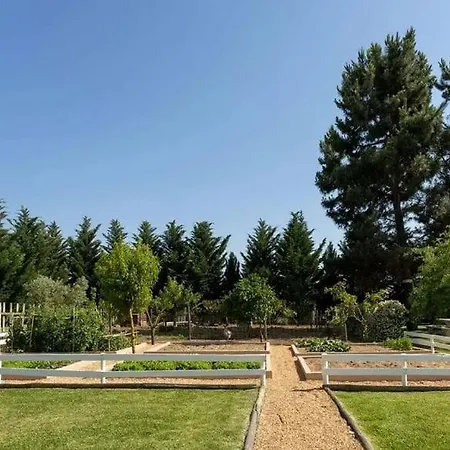 Moradia T3 Localizada Num Lote De Terreno De 5.116m2 Com Piscina Vila *